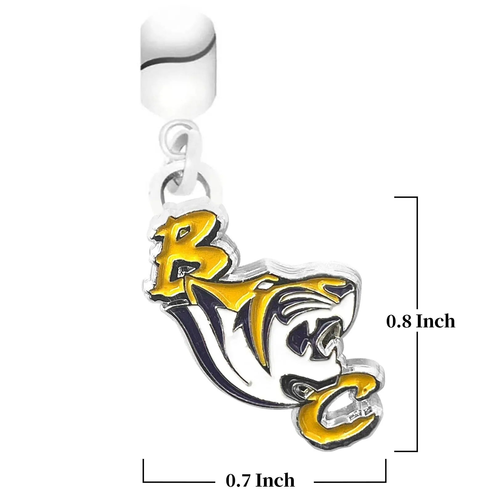 Benedict College Tigers Charm