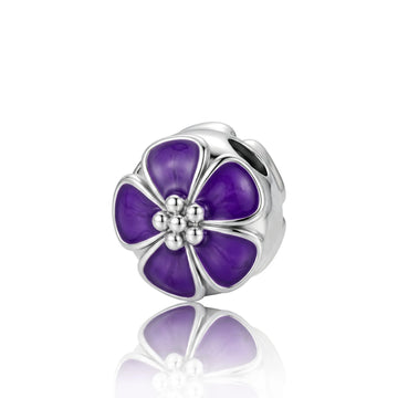 African Violet