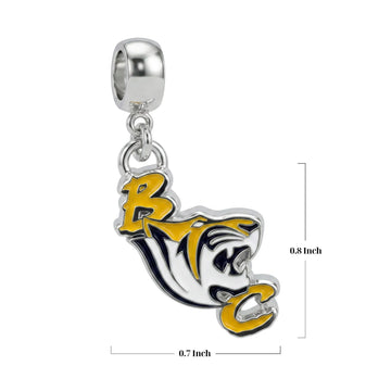 Benedict College Tigers Charm