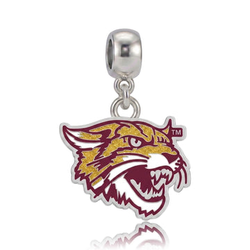 Bethune-Cookman University Wildcats Charm