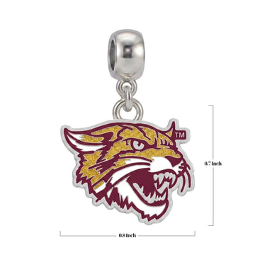 Bethune-Cookman University Wildcats Charm