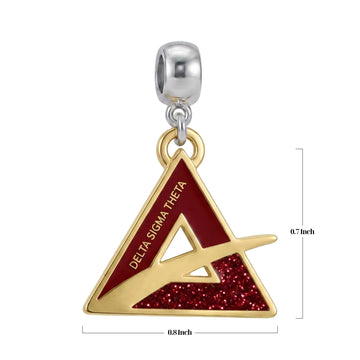 DST 56th National Convention Charm