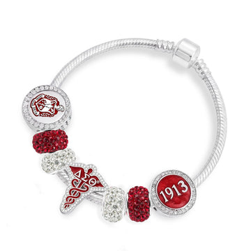 ΔΣΘ Healthcare Professional Bracelet - Delta Sigma Theta