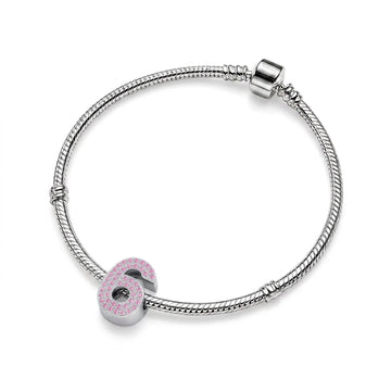 Pink Number 6 Charm