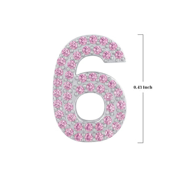 Pink Number 6 Charm