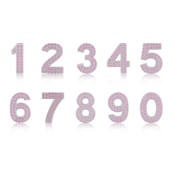 Pink Number 6 Charm