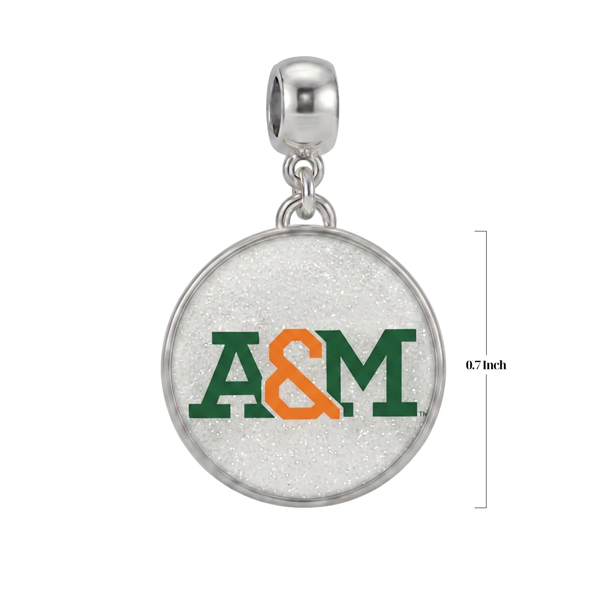 FAMU Charm