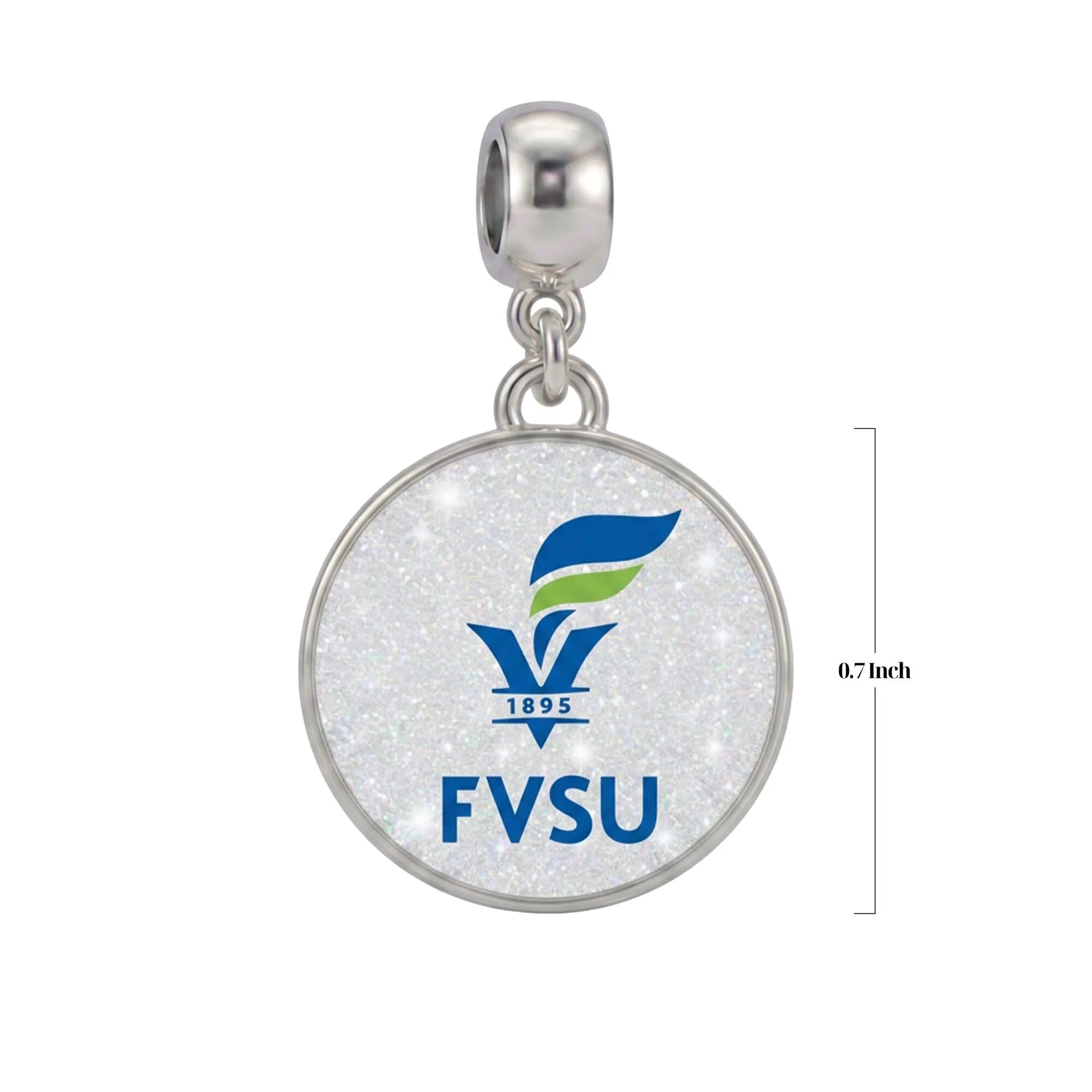 Fort Valley State University Charm