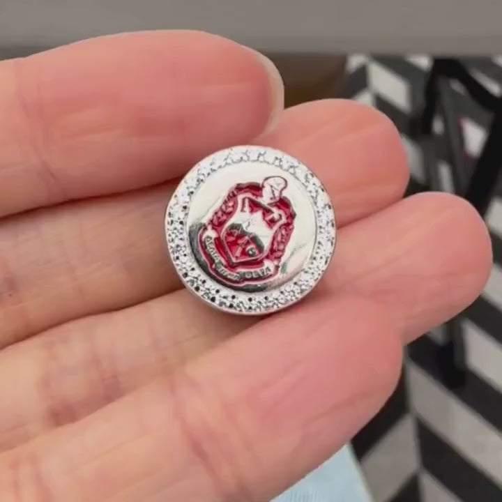 ΔΣΘ Crest Sterling Silver Charm (Fits Pandora) - Delta Sigma Theta compressed video 1
