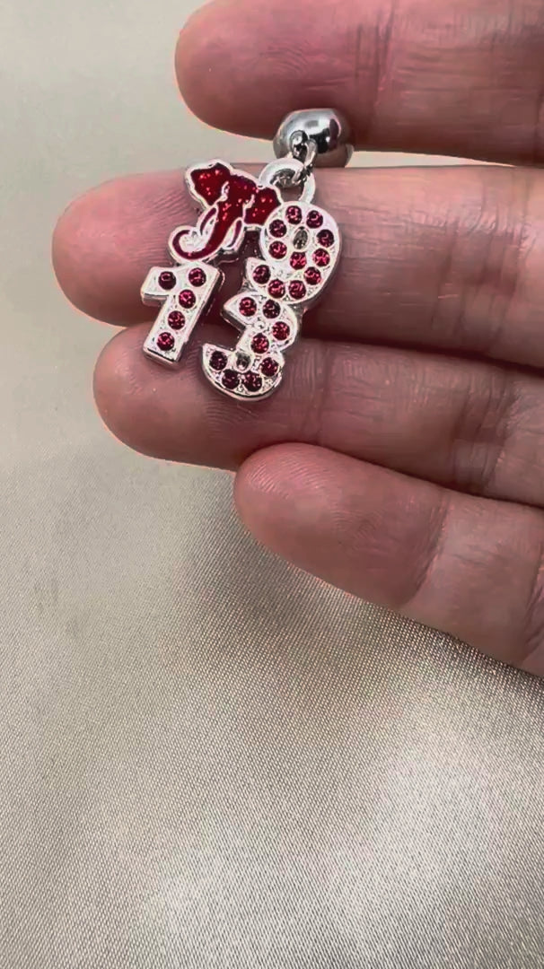 DST 1913 Charm compressed video 1