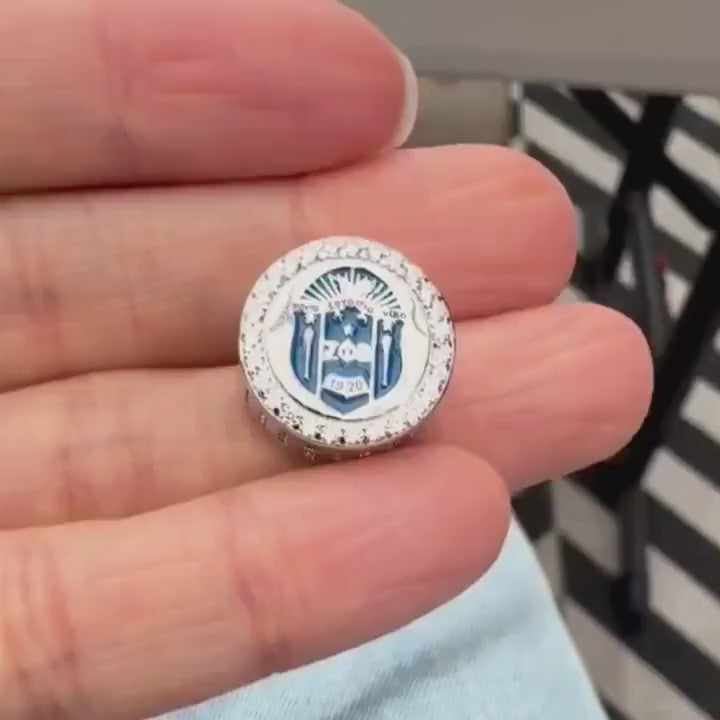ZPHIB Shield Sterling Silver Charm (Fits Pandora) compressed video 1