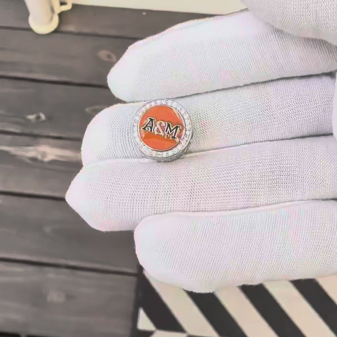 FAMU Sterling Silver Charm (Fits Pandora)