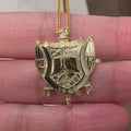 SGRho Shield Gold Vermeil Pendant (Chain Sold Separately) compressed video 1