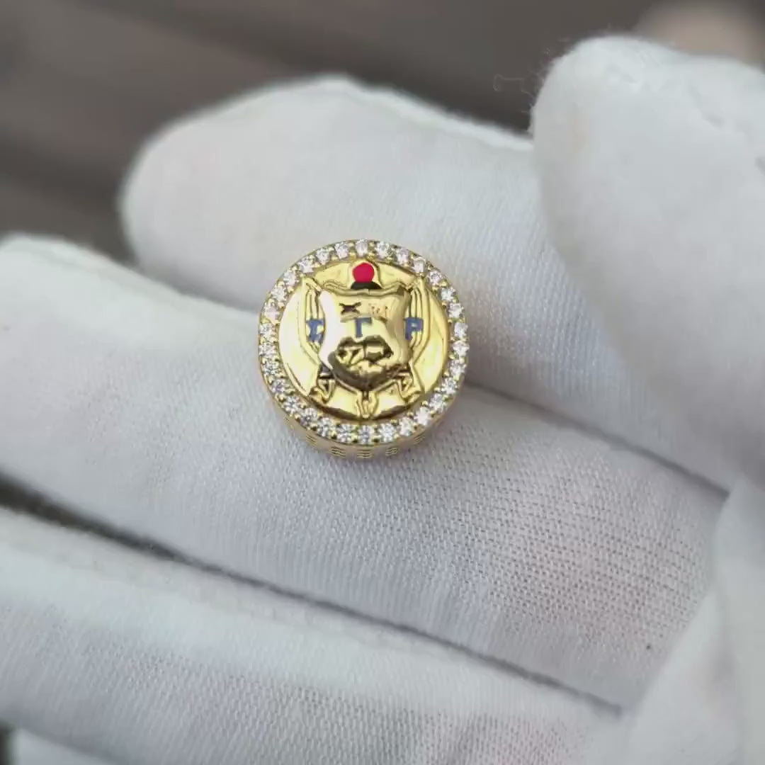 SGRHO Shield Gold Vermeil Charm (Fits Pandora)
