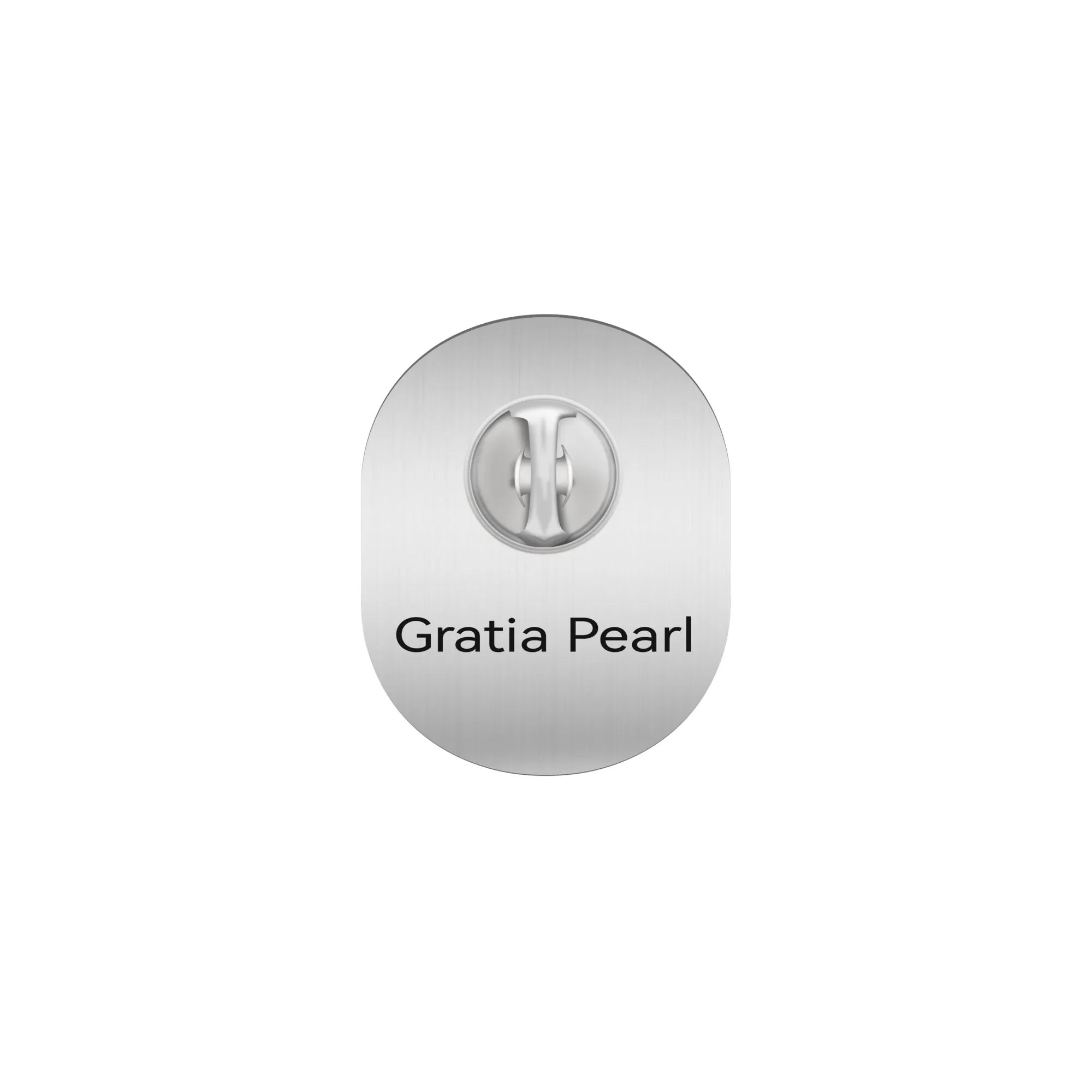 South Carolina State University Seal Pin – Back view showing clasp and finish