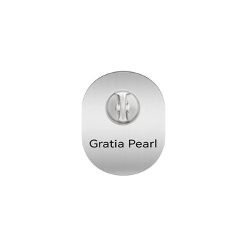 South Carolina State University Seal Pin – Back view showing clasp and finish