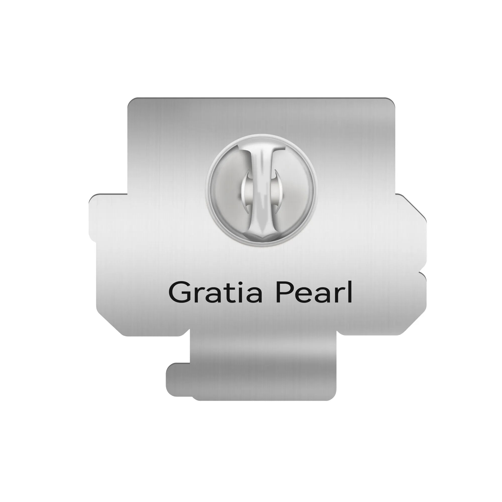 Tennessee State University Pin – Back view showing clasp and finish