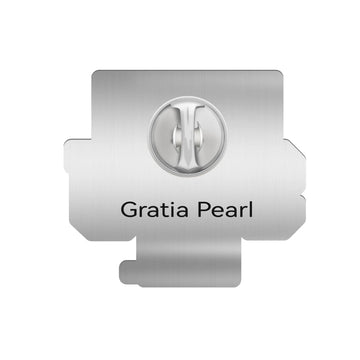 Tennessee State University Pin – Back view showing clasp and finish